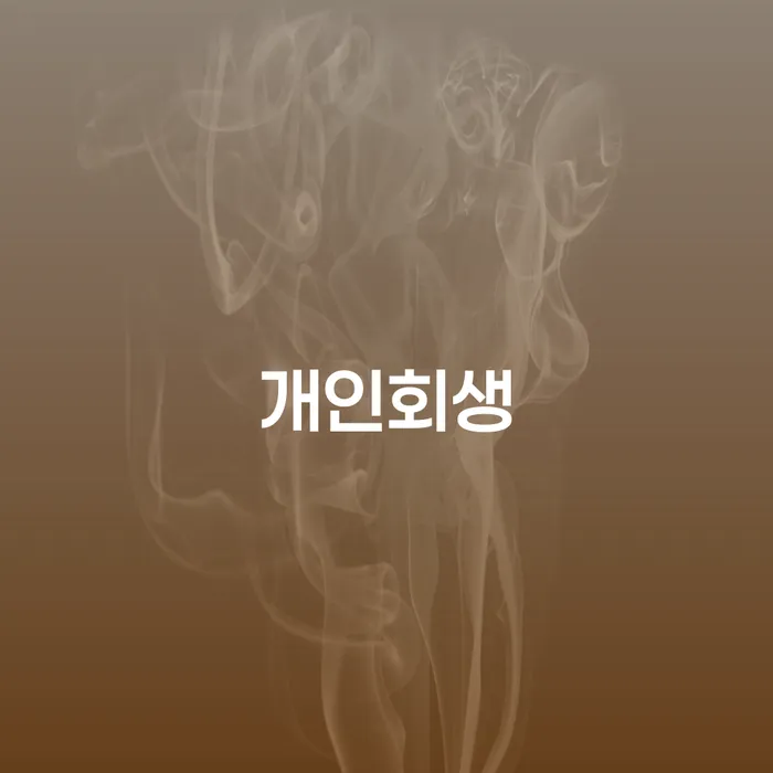 상속재산파산신청 개인회생 제도 간편비교
