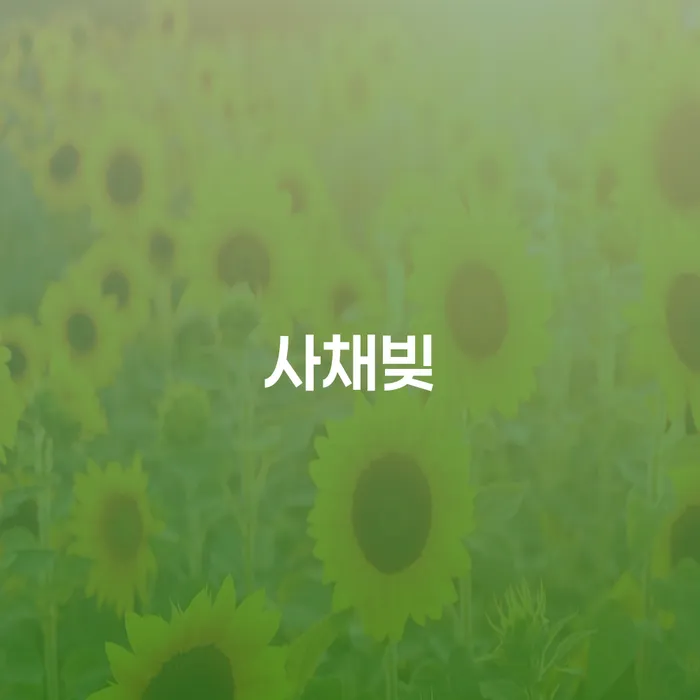 개인회생전문변호사 개인회생으로 방법 꼼꼼히 따져보고