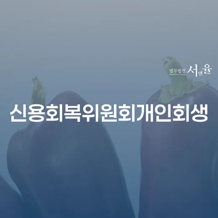 회생변호사 개인회생 문제해결방법 해결 방법 알려드려요.
