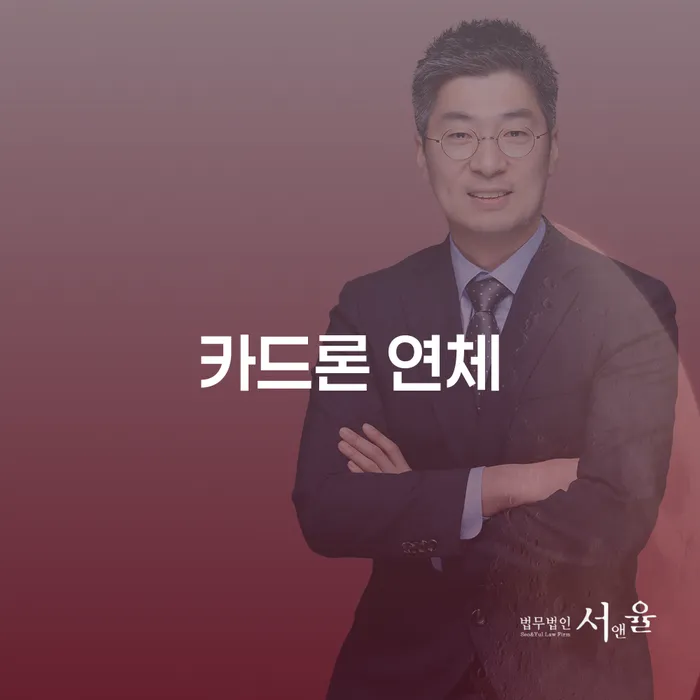 신용카드이용자대출 연체 시 개인회생,개인파산으로 체크해보세요