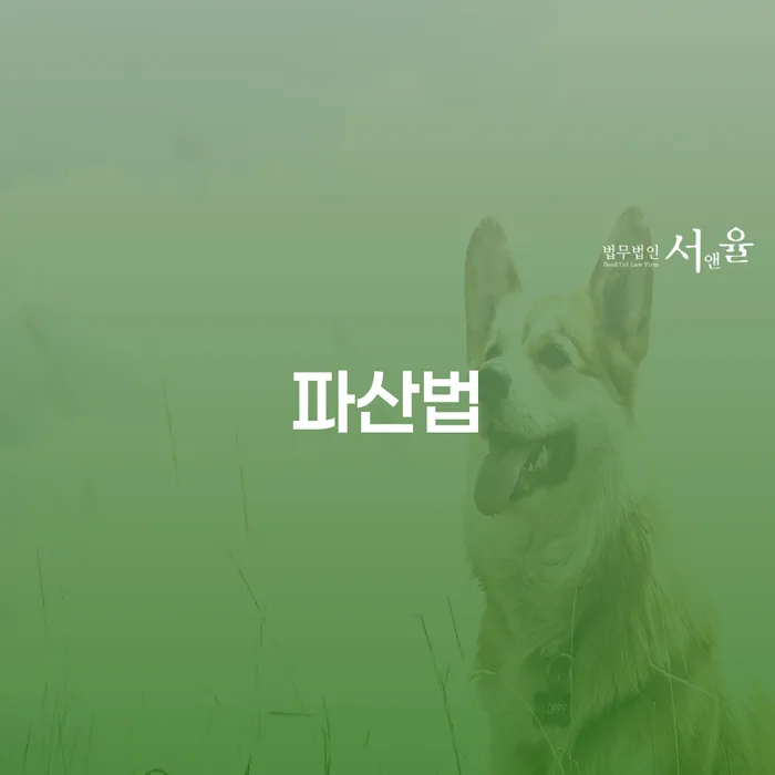 사업자회생 빚 합법적인 빠른방법 잘 하는 변호사