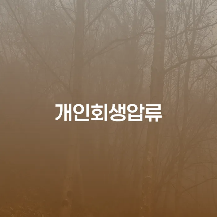 개인회생법무사 개인회생 처리방법 무료법률상담
