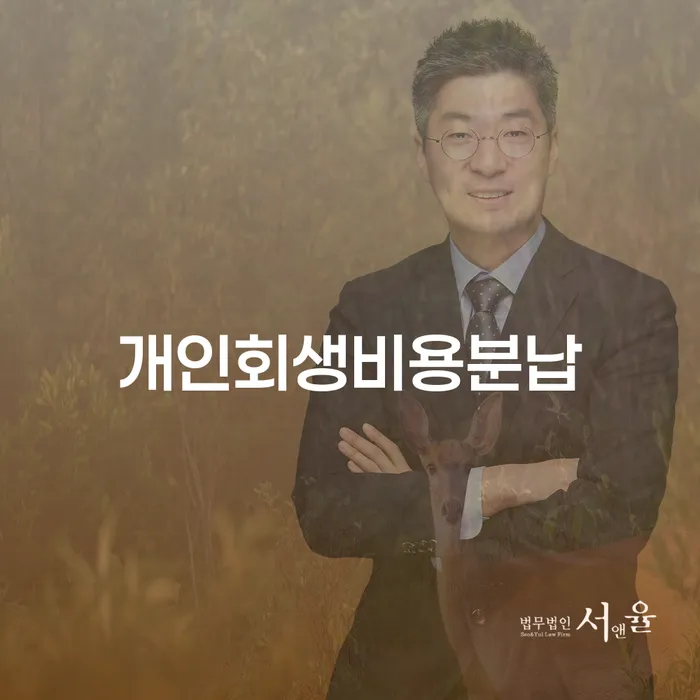 개인회생자동차 빚 합법적인 빠른방법 해결할 수 있을까?
