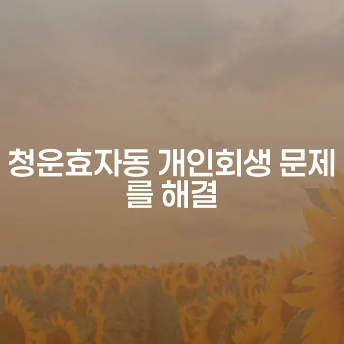 청운효자동 개인회생 문제를 해결
