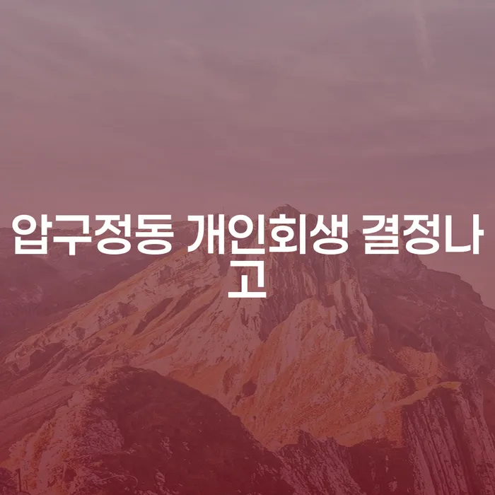 압구정동 개인회생 결정나고