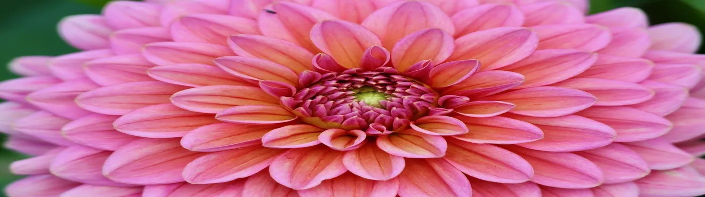 법무법인 서앤율