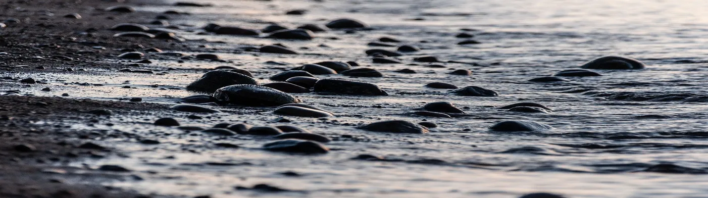 법무법인 서앤율