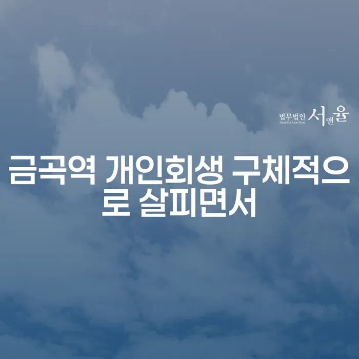 금곡역 개인회생 구체적으로 살피면서