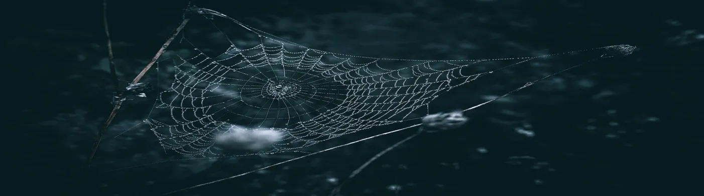 법무법인 서앤율