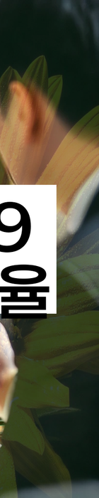 법무법인 서앤율 회생파산상담센터