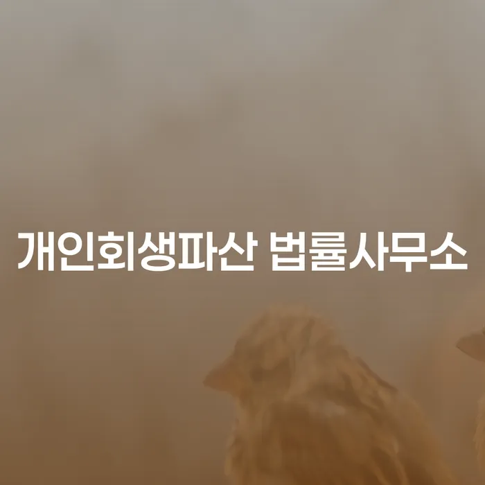 인제 개인회생파산 법률사무소에서 시작하는 재정 문제 해결