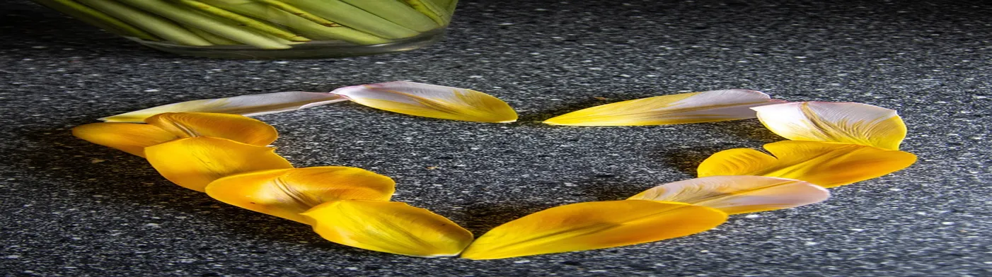 법무법인 서앤율