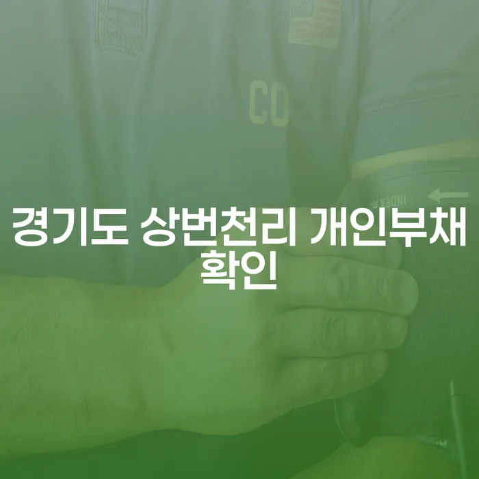 경기도 상번천리에서 개인부채확인, 어떻게 해결할 수 있을까요?
