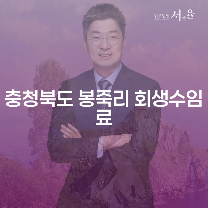 충청북도 봉죽리 회생수임료와 개인회생금지명령, 어떻게 준비해야 할까요?