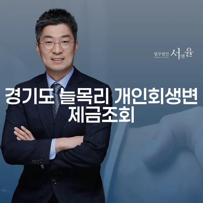 경기도 늘목리에서 개인회생 변제금 조회가 필요한 이유는?