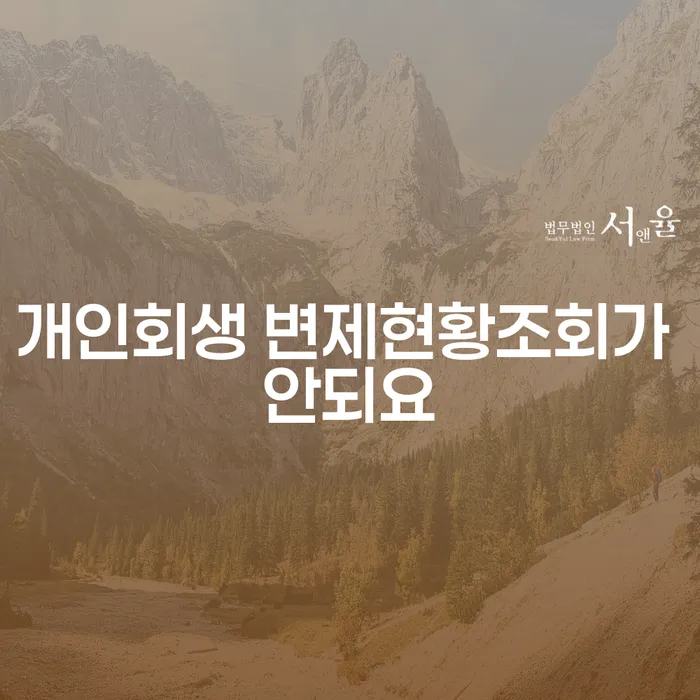 개인회생 변제현황조회가 안되요? 연천군에서 해결하는 방법은?